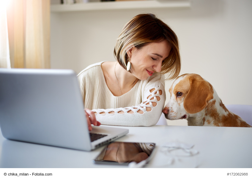 Gratis-Download: Hund mit ins Büro bringen: Brauche ich dafür eine Erlaubnis?
